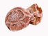 Helen Ou@ Zhejiang Specialty: Preserved Fruit Dried Plum Salty and Sour Plum ???? 120g/4.23oz/0.26lb...