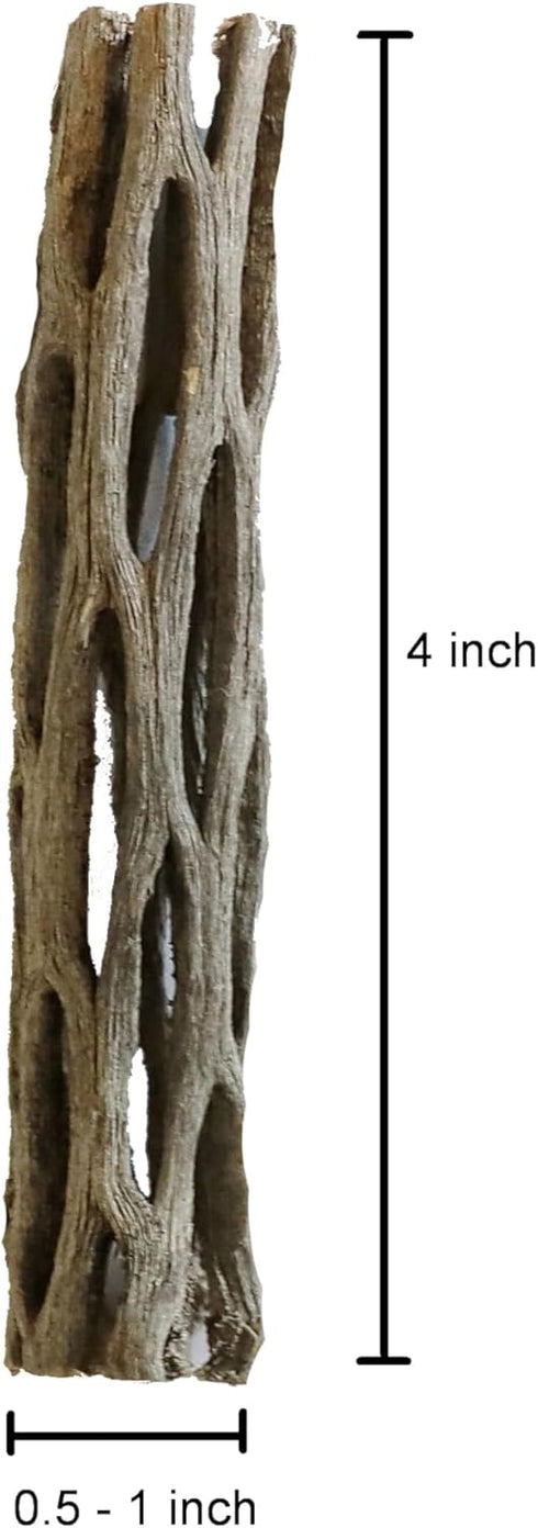 Natural Cholla Wood for Aquarium Decoration Shrimp and Fish Tank (4 Inch (5 Pack))...