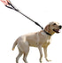 Dog Leash Short Training Dog leashes for Medium Large Dogs with Comfortable Padded Handle Up to 80lbs Black...