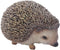 Hi-Line Gift Ltd Sitting Hedgehog Statue...