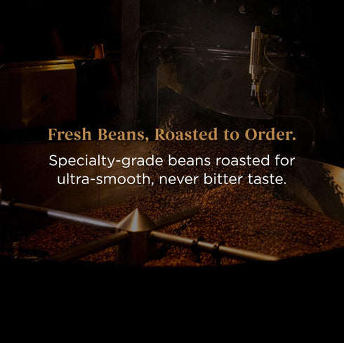 Storyville Coffee Prologue Blend | Premium Whole Bean Fresh Roasted Coffee Beans Medium Roast | 8 Ounces...