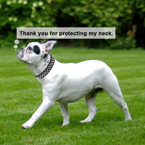 Spiked Dog Collar Soft Pu Leather Mushrooms Rivet Spike Studded Puppy Adjustable Cat Collars Light Blue XL...