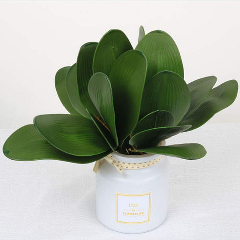 FagusHome 6 PCS Artificial Phalaenopsis Orchids Leaves 11 inches Green Faux Orchids Leaf (6 Pcs)...