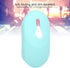 ASHATA Mouse Protective Cover, Silicone Case for iFlytek Intelligent Voice Mouse, Comfortable, Washable, Cushioning , Mint Green...