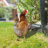 Yardwe 2pcs Chicken Rooster Yard Art Garden Stake Realistic Lifelike Hen Garden Poultry Statue Rooster Animals Sculpture for Yard Garden Lawn Outd...