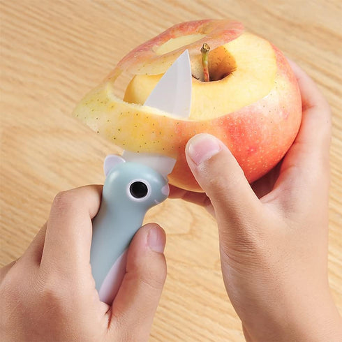 Ceramic Paring Knife, Pocket Knife Folding Knife, Super Sharp Blade only 2.3 inch, Fruit Peeling Vegetable Cutting, Easy-to-Carry (Blue)...