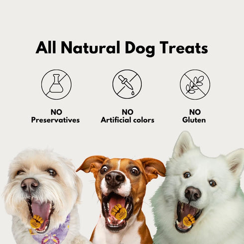 Treats Fruity Paws - Organic Dog Treats Healthy, Low Calorie Puppy Treats for Joint and Hip Support, Tasty Natural Treats for All Dogs, Only 5 Cal...
