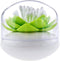 Niviy Q-Tips Holder Cotton Swab Organizer Lotus Shape Swab Cosmetic Storage Bathroom Decor, Green1...