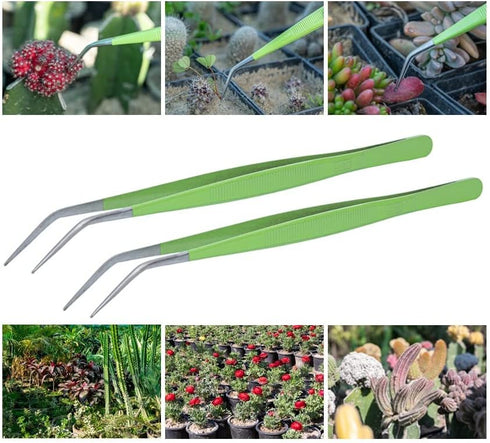 HADIZ Stainless Steel Garden Tweezer Two Piece Set with Curved Tip Tweezers for Cactus and Succulents Gardening(Curved)...