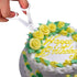 Stainless-Steel Cake Decor Baking Tools for Icing Flowers - 2 Flower Lifters and 4 Flower Nails...