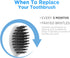 Replacement Toothbrush Heads with Covers for Burst (10 Count, White)...