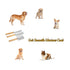 Professional Metal Dog Grooming Comb | 3 PCS Wooden Handled Pet Comb for Dogs and Cats | Removes Tangles, Dematting, Detangling | Great for Matted...