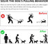 Dog Chain Collars (Made in USA) 304 Stainless Steel Metal Chew Proof Dog Necklace Anti Winding Dog Leash Extension Lead for Small Medium Large and...