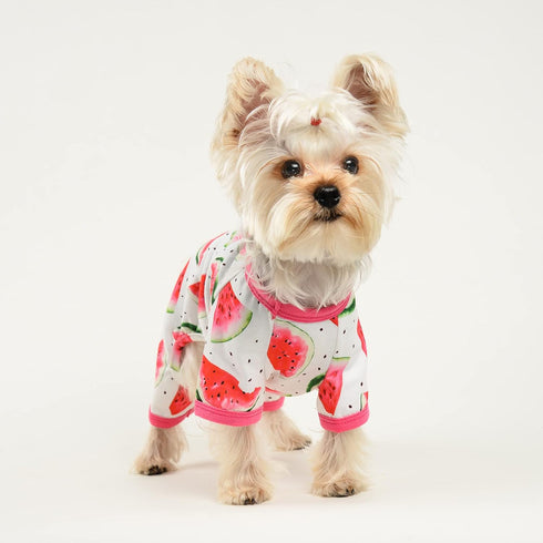 Dog Pajamas for Small Dogs Girl Boy Puppy Pjs Summer Pet Onesies for Chihuahua Yorkie Teacup Cute Soft Material Stretch Able Cat Clothes Outfit Ap...