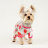 Dog Pajamas for Small Dogs Girl Boy Puppy Pjs Summer Pet Onesies for Chihuahua Yorkie Teacup Cute Soft Material Stretch Able Cat Clothes Outfit Ap...