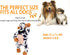 Squeaky Stuffed Dog Toys with Rubbery Belly, Stuffed Animal Toys for Chewers, Gum Massage Soft Puppy Chew Teething Toys to Keep Them Busy, Durable...