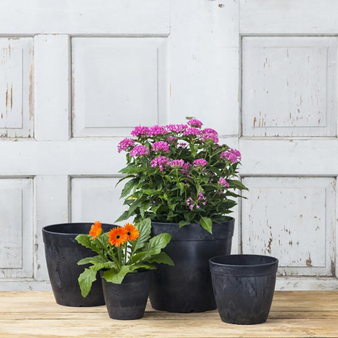 Dolce Round Planter, Black, 6"...