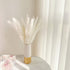 30 Pcs White Pampas Grass ,17 inch/45 cm Natural Dried Pampas Grass Branches Decor for Home Kitchen Garden Party Photographing Flower Arrangement ...
