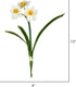 Vickerman 13‘’ Artificial Cream Narcissus Spray. Includes 3 Sprays per Pack....