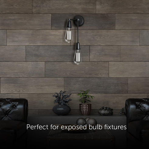 Feit Electric ST19 Vintage Edison LED Light Bulb, 60W Equivalent, Dimmable, 5000K Daylight, 800 Lumens, E26 Base, Retro Filament Light Bulbs, 15,0...