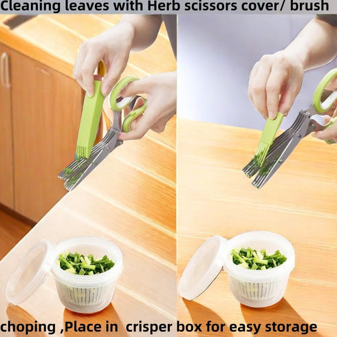 Herb Scissors and Food Containers Set Stainless Steel 5 Blade Cover kitchen Shears for Onion Cilantro Lettuce- 2pcs Containers Keep Fresh...