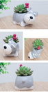 Cute Planter Animal Shaped Cartoon Home Decoration Succulent Vase Flower Pots (Schnauzer)...