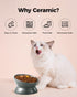 Elevated Cat Food Bowl, 5 Oz Ceramic Raised and Tilted Water Bowl, Anti Vomiting and Protect Pets' Spines Dishes for Small Dog, Fat Faced Cat, Kit...