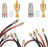 10Pack RCA Male Plug Solder, Gold Audio Video Cable Adapter Connector for Speaker Wire Wall Plate Home Theater Audio Video Receiver Amplifiers and...
