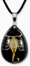 REALBUG Gold Scorpion Necklace, Black, Small...