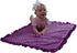 Baby Girls Reversible Minky Velboa Stroller Blanket (Choose Color) (Birds/Violet)...