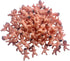Party Decorations Mini Plastic Babies Party Baby Party Supplies Shower ice cube Game Decor Party Supplies?40 PCS 1in?...