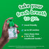 Hello Fresh Mint Mouthwash Concentrate, Alcohol Free for Bad Breath, Travel Size Mouthwash Made with Coconut Oil and Tea Tree Oil, Helps Freshen B...