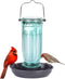Kingsyard Bird Water Feeder, 16 Oz Glass Bird Water Dispenser Bird Waterer with Metal Hanging for Garden Yard Outside Decoration, Green...