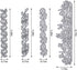 2Pcs Flower Border Die Cuts for Card Making, Lace Flower Edge Cutting Dies Metal Template Molds, Leaves Flower Banner Dies for Crafting DIY Photo ...