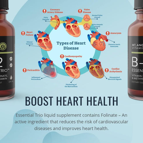Mt. Angel Vitamins - B12 Essential Trio - Vegan Sublingual Drops with High-Potency Methyl B12, B6 & Folate - Easy Absorption Liquid - Non-GMO, Mad...