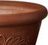 Arcadia Garden Products, Terra Cotta TA20TC Bulb Pan, 8 by 3-Inch, Color, 8"x3"...