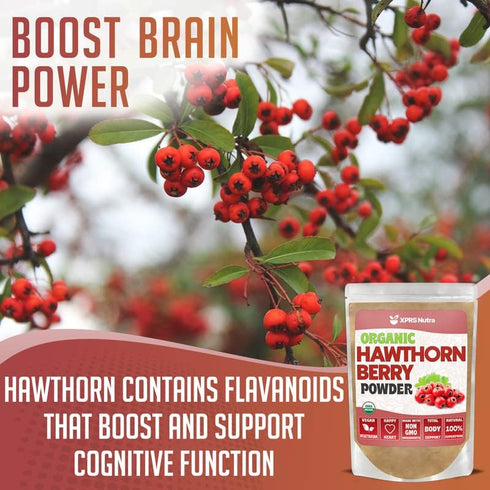 XPRS Nutra Organic Hawthorn Berry Powder - Premium USDA Organic Hawthorne Berry Powder for Cardiovascular Support - Vegan Friendly Hearth Health S...