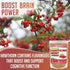 XPRS Nutra Organic Hawthorn Berry Powder - Premium USDA Organic Hawthorne Berry Powder for Cardiovascular Support - Vegan Friendly Hearth Health S...