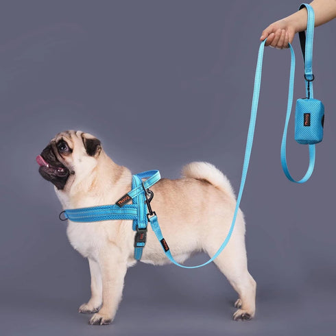 Didog 6FT Reflective Nylon Dog Leash, Durable 1” Wide Walking Pet Lead with Soft Padded Handle & Mesh Dispenser Poop Bag for Small Medium Large Do...