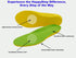 1 Pair Wide Fit Insoles Plantar Fasciitis Orthotics PU Memory Foam Comfort Shoe Inserts for Men and Women, Cushioned Arch Support, Shock Absorptio...