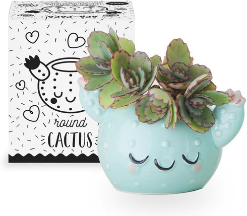 Smiley Cactus Ceramic Planter, 3 x 4 x 4 in., Exclusive Ceramic Planters for Indoor and Outdoors, Cute Hand Painted Designed in Argentina, Conveni...