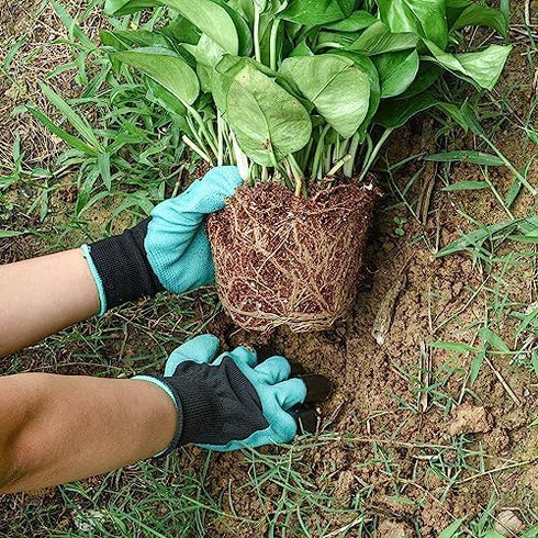 Weeding Artifact Uprooting Weeding Tool Claw Gloves Kit, 6 Teeth Dual Purpose Weed Puller, for Yard Farm Gardening Cultivating Loosening Weeding M...