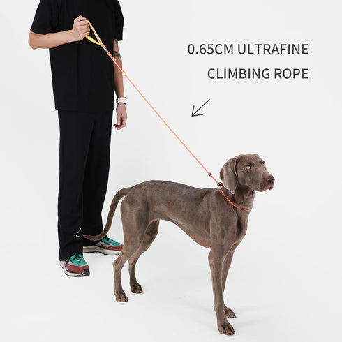 Slip Lead Dog Leash, 5 FT Dog Training Leash with Metal Stopper, Durable No Pulling Dog Lead Leash with Comfortable Handle, Nylon Heavy Duty Rope ...