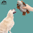 Hollypet Fluffy Dog Toys - Squeaky Plush Dog Toys for All Breeds, Stuffed Toys for Small Medium Large Dogs, Cute Animal-Big Armadillo Toys, Puppy ...