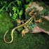 NUOBESTY Realistic Fake Lizards Artificial Model Reptile Lizard Plastic Lizards Action Figures Trick Playthings, 2Pcs...