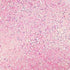 Baby Pink Craft Glitter Dust | Shiny Light Pink Luxury Glitter | 5 grams | kosher, vegan, gluten free | Cakes, cakepops, cupcakes, fondant, chocol...