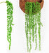 Artificial Succulent Plants, Fake Succulent Hanging Lover Tears Plants Hanging Basketplant 2pack...