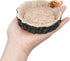 3 Pack Reptile Water Dish Food Bowls, Hermit Crab Food Dish, Bearded Dragon Water Bowl, Suitable for Hermit Crab Bearded Dragon Lizard Gecko Torto...