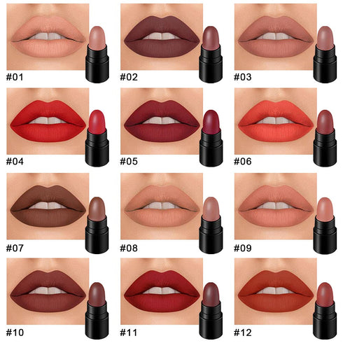 evpct 12Pcs Capsule Pills Lipstick Mini Matte Lipstick Sets for Women labiales mate 24 horas originales Dark Brown Red Nude Small Candy Lipstick S...