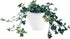 The HC Companies 8 Inch Garden Wall Planter - Plastic Hanging Plant Pot for Indoor Outdoor Flowers, Herbs, White...